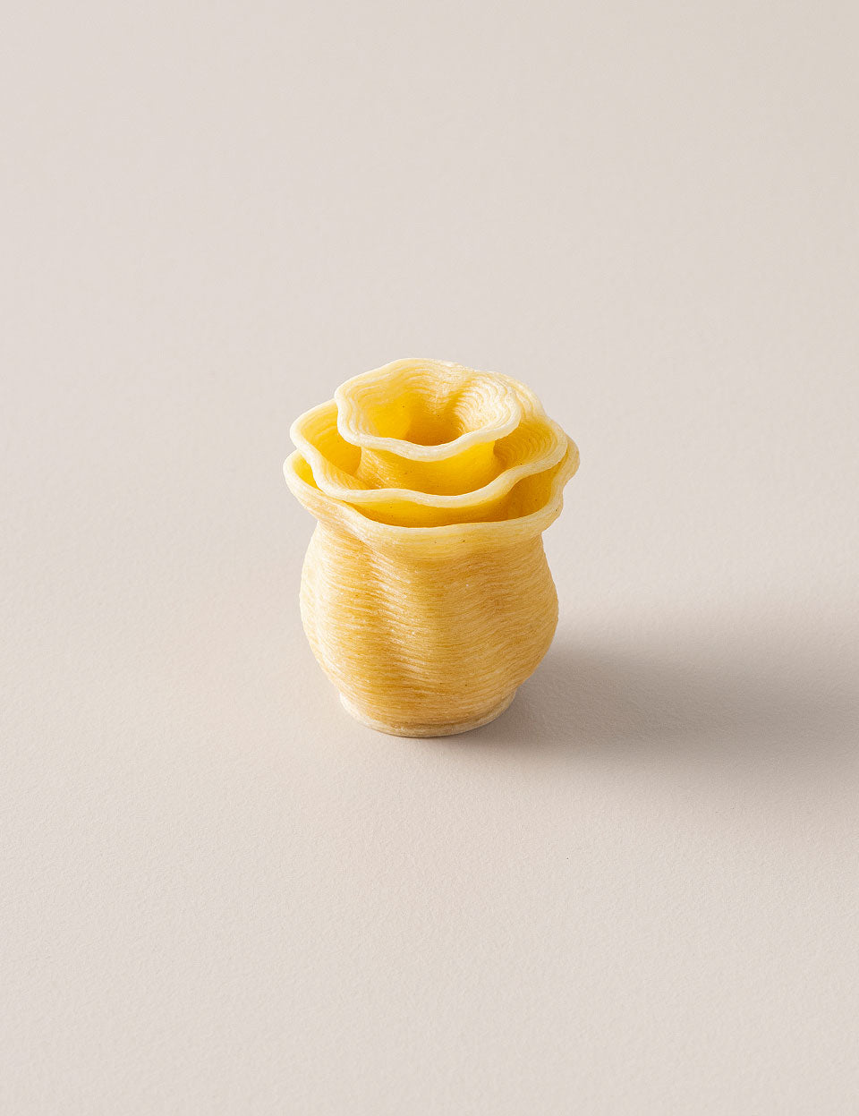 Pasta 3D Bloom